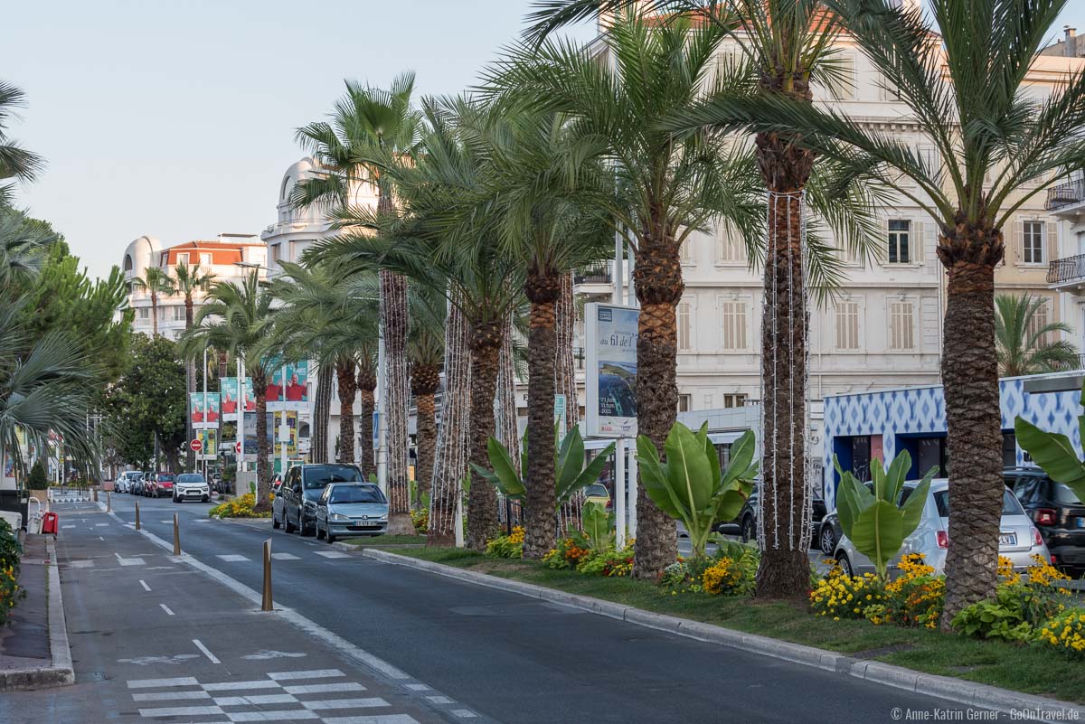 Palmen säumen den Boulevard de la Croisette