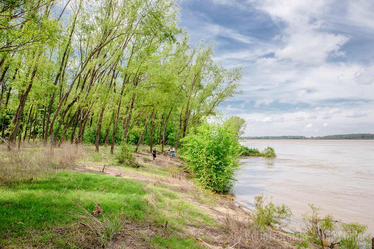 Montezuma Island mitten im Mississippi