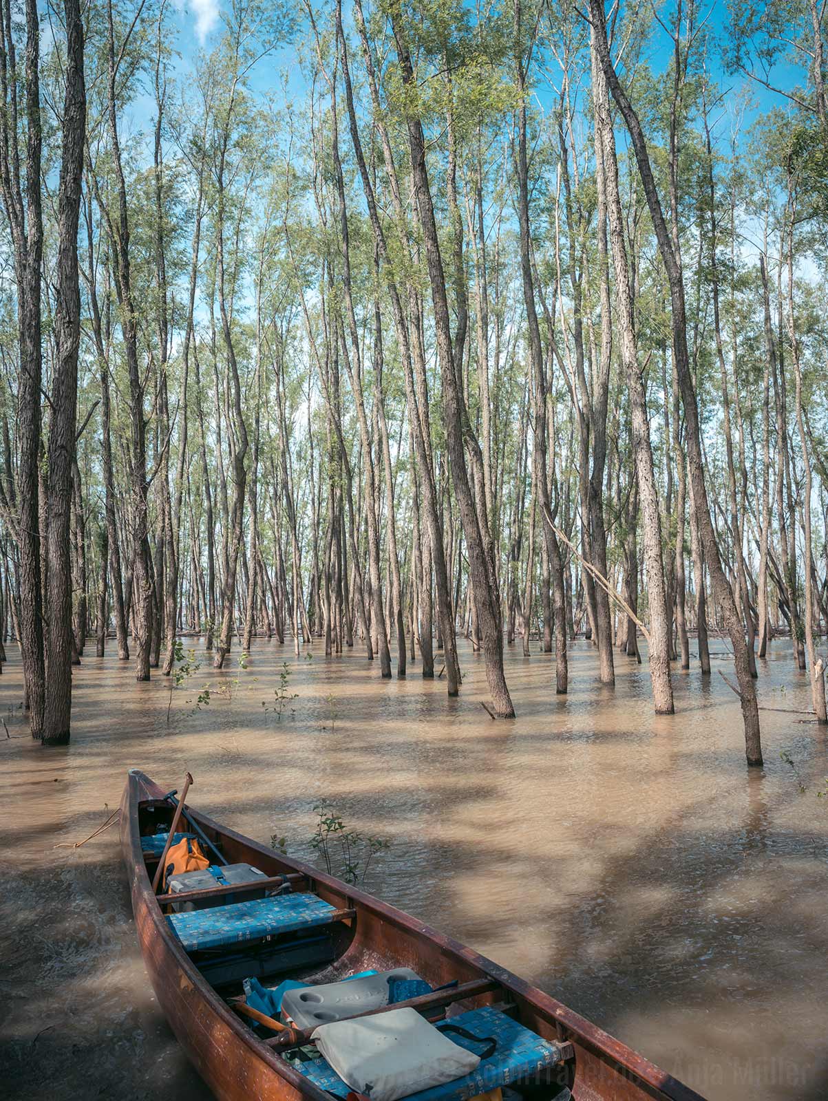 Wie in einer Filmkulisse, mitten auf dem Mississippi