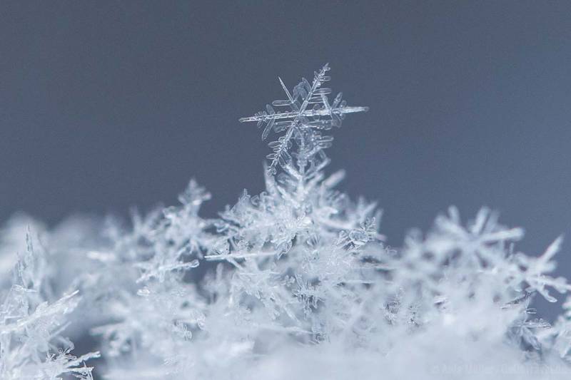 Schneeflocken fotografieren: 11 Tipps für atemraubende Fotos