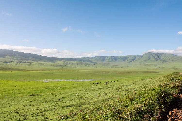 am Rand des Ngorongoro Schutzgebietes