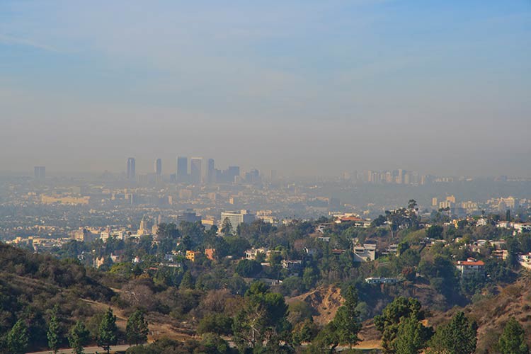 Blick auf Los Angeles vom Griffith Park aus