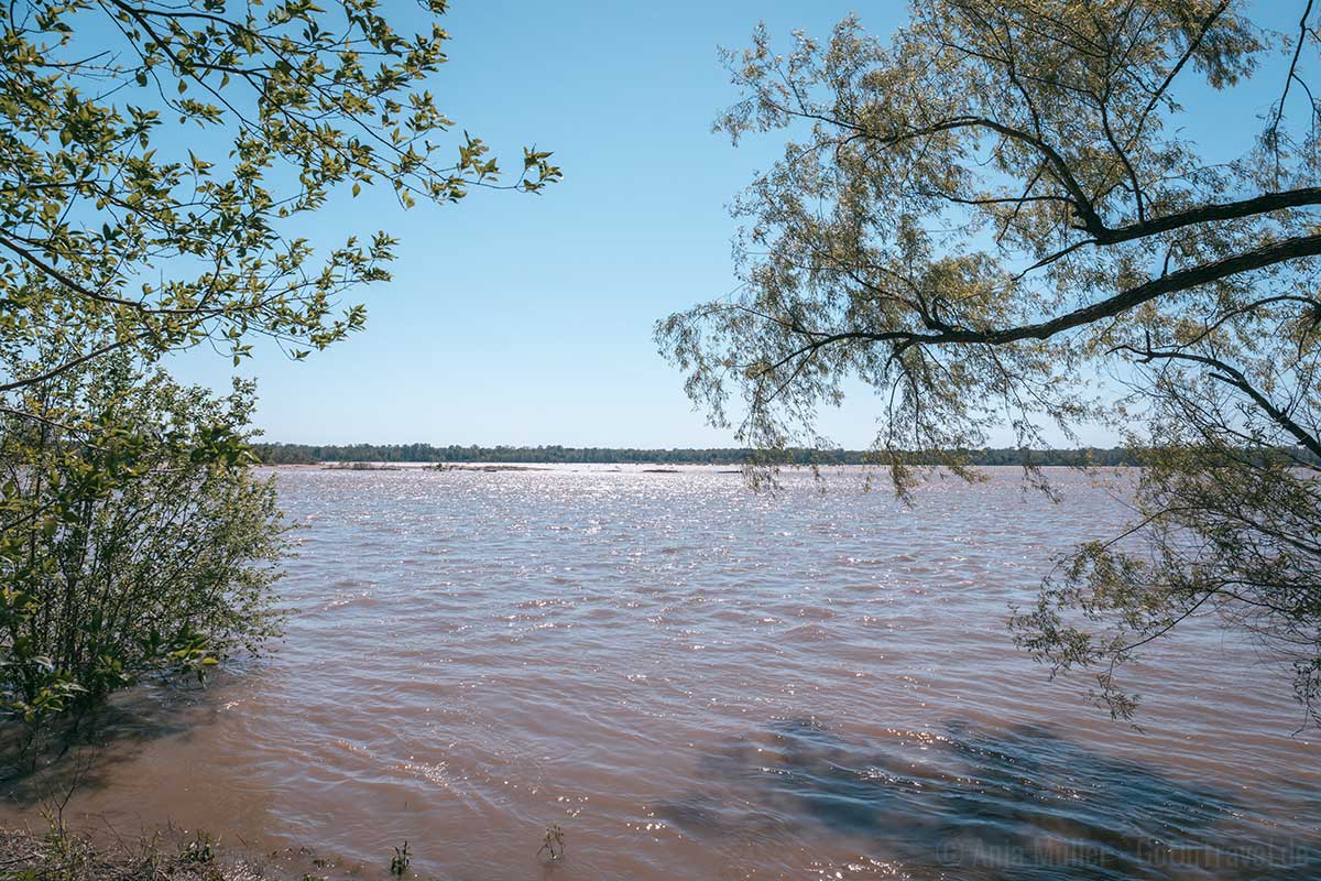 Direkt am Mississippi River im Great River Road State Park