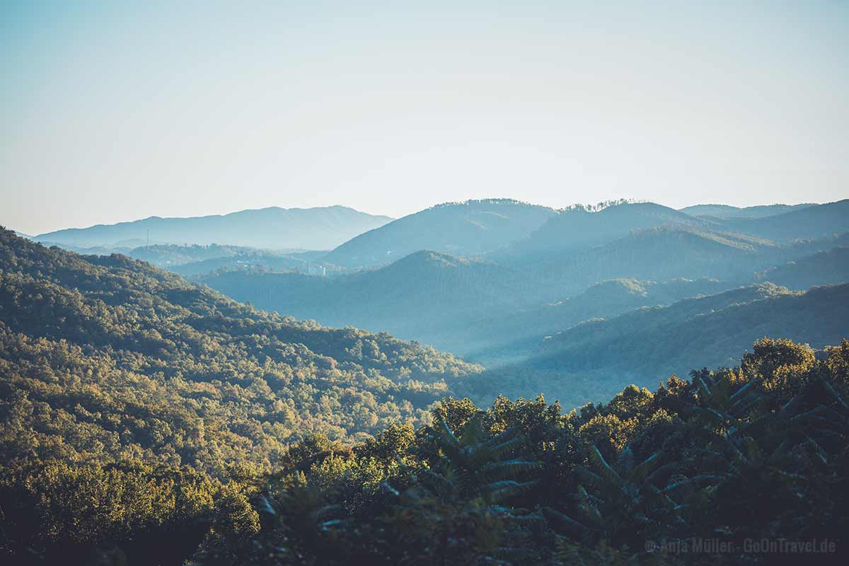 Typischer Nebel in den Smokies