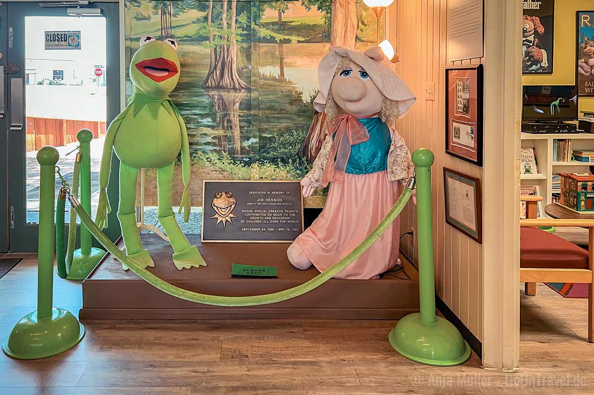 Im Birthplace of Kermit the Frog Museum in Leland gibt es zahlreiche Kermits zu bewundern