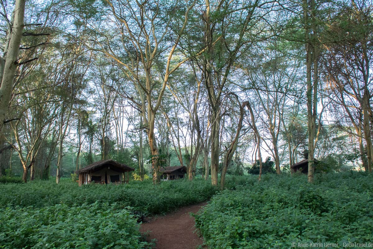Migunga Tented Camp in Tansania