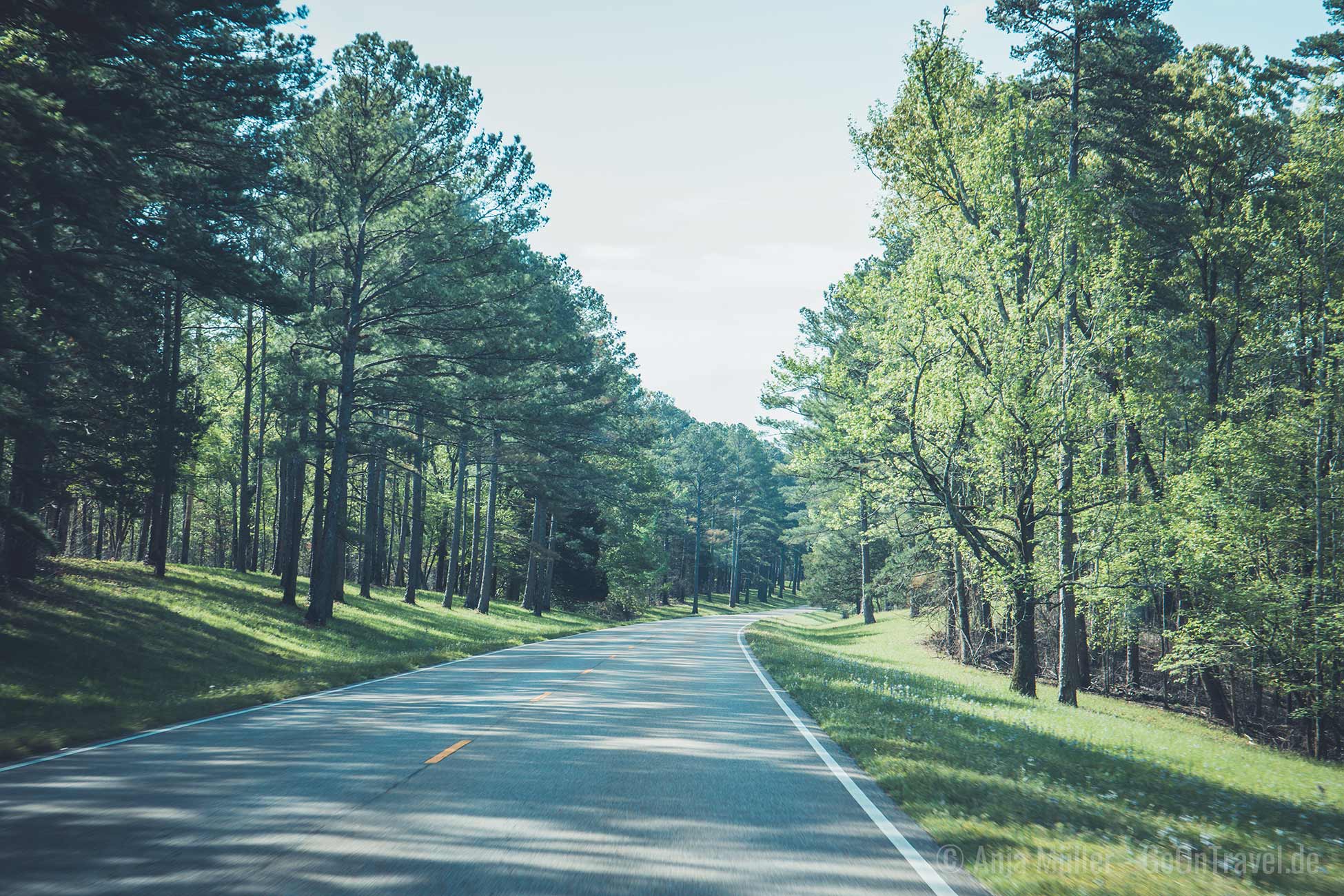 Natchez Trace Parkway