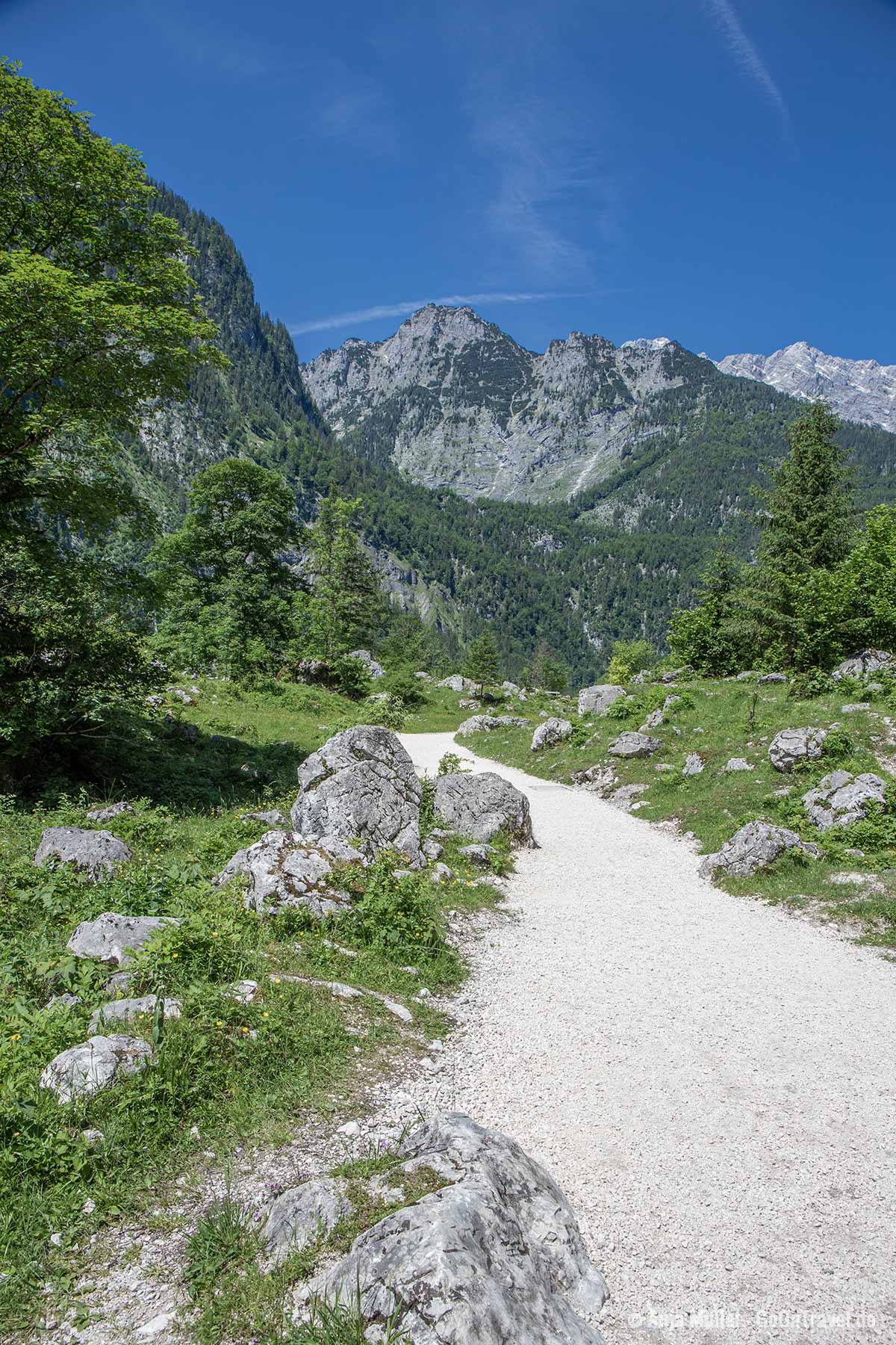 Wanderweg im Nationalpark Berchtesgaden