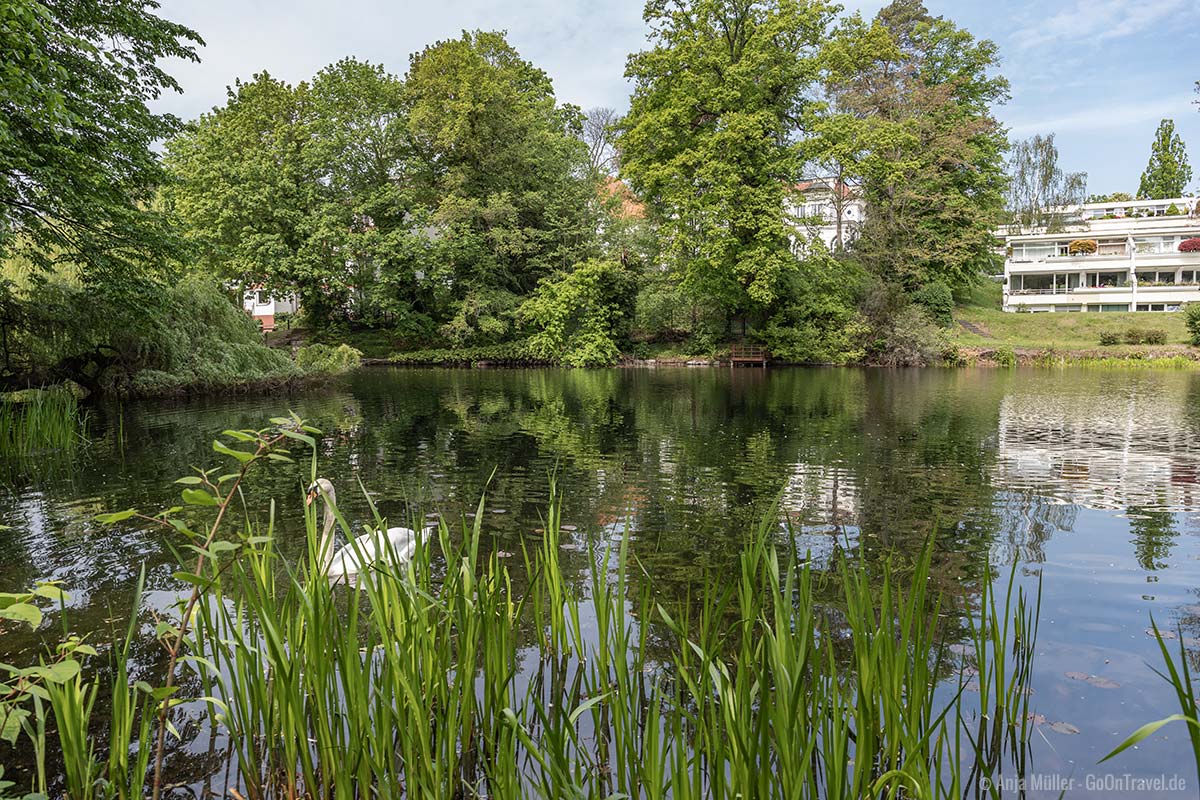 Einer der idyllischsten Seen in Berlin: Dianasee