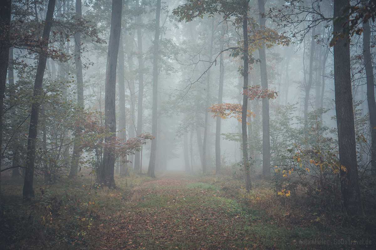 Morgennebel in Slownien