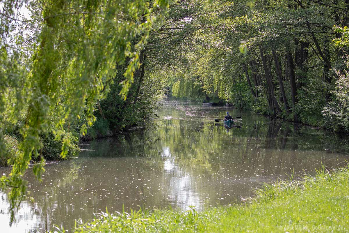 Mit dem Paddelboot den Sprrewald vom Wasser aus erkunden.