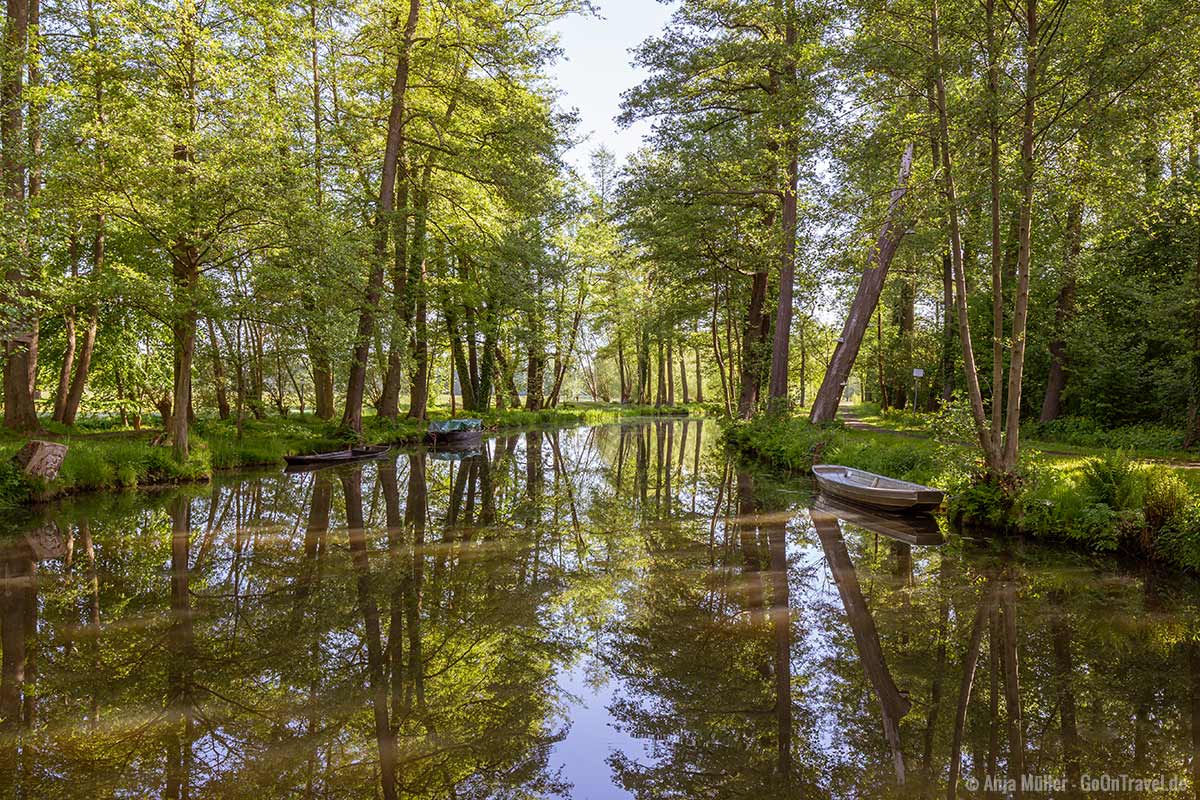 Typisches Landschaftbild im Spreewald