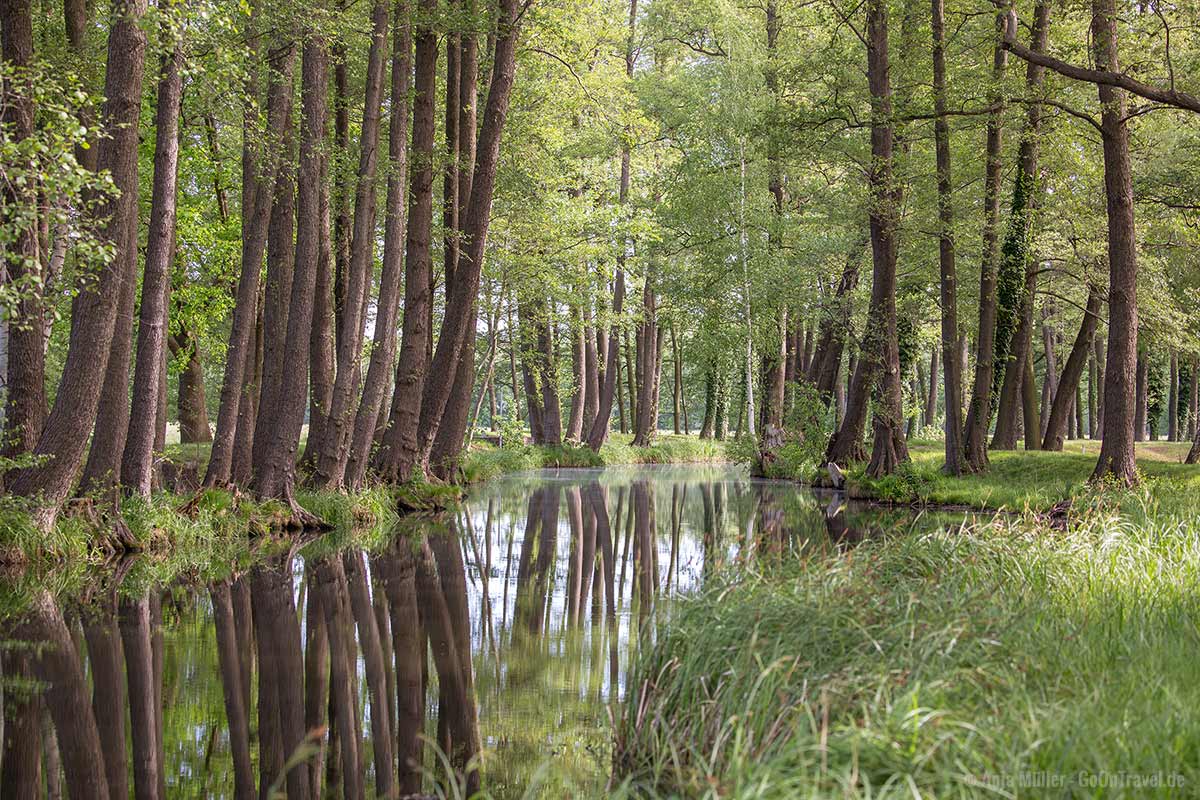 Der Spreewald zählt zu einem der schönsten Natur Sehenswürdigkeiten Brandenburg.