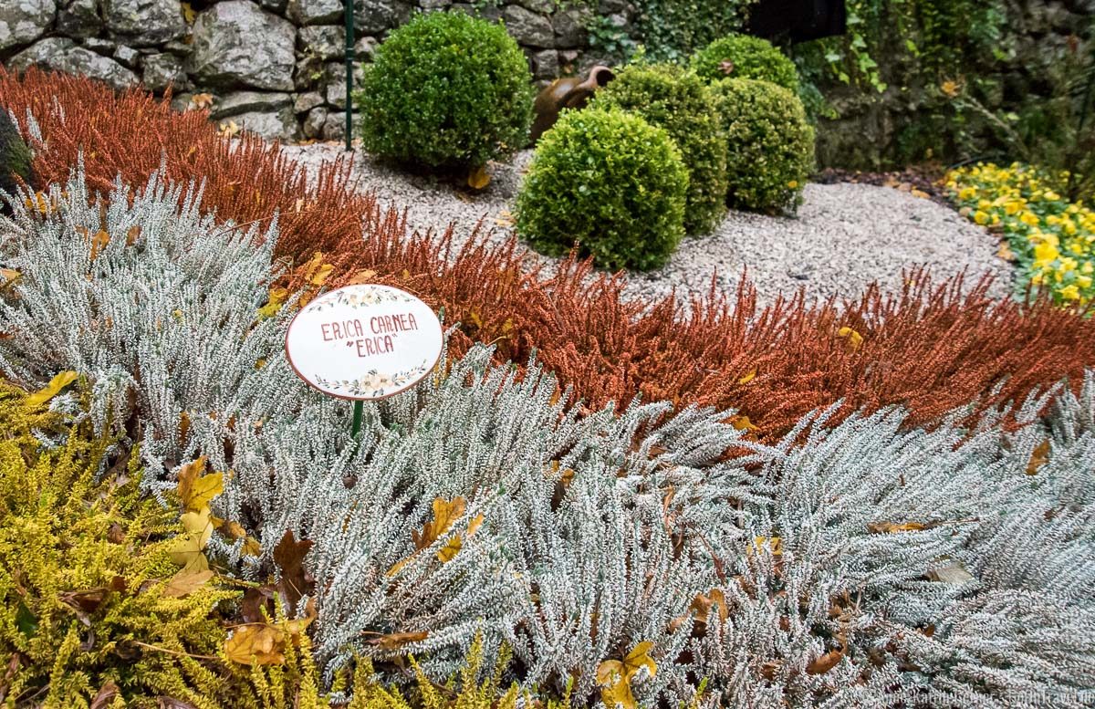 Auch im Herbst sehenswert: der botanische Garten