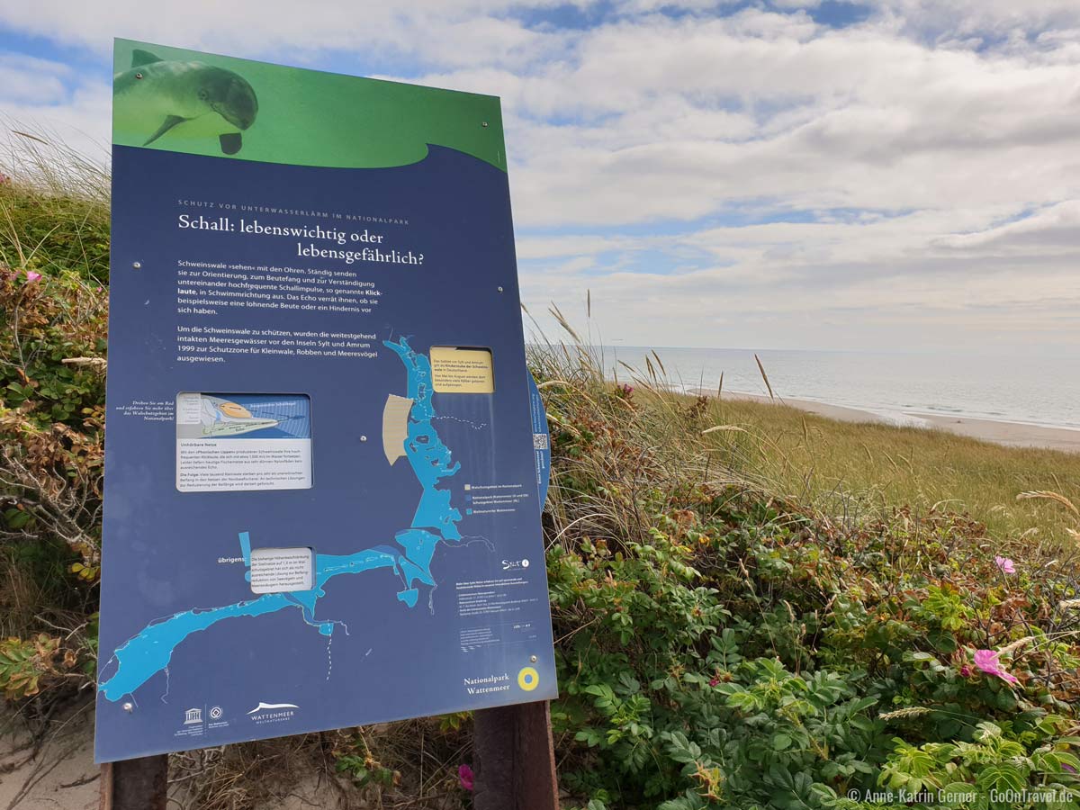 Eine von 22 interaktiven Infotafeln des Walpfads am Strandübergang Rantum.