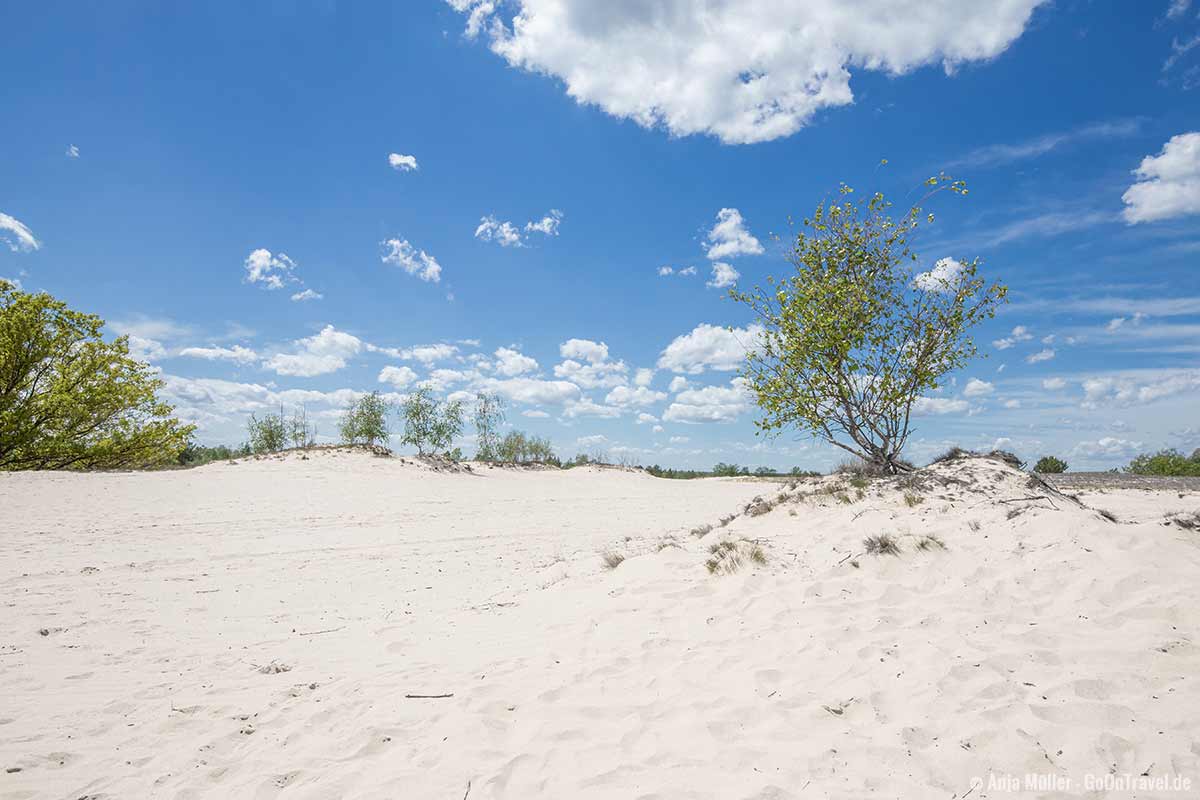 Weißer Sandstrand mitten in Brandenburg