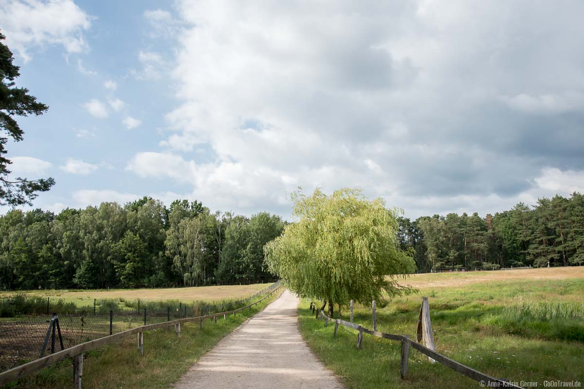 Besucherweg durch den Wildpark