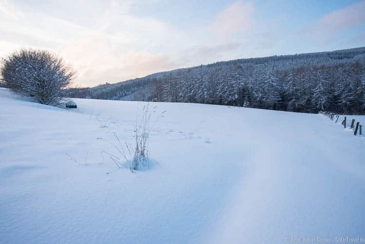 winterliche Abendstimmung in Neuville