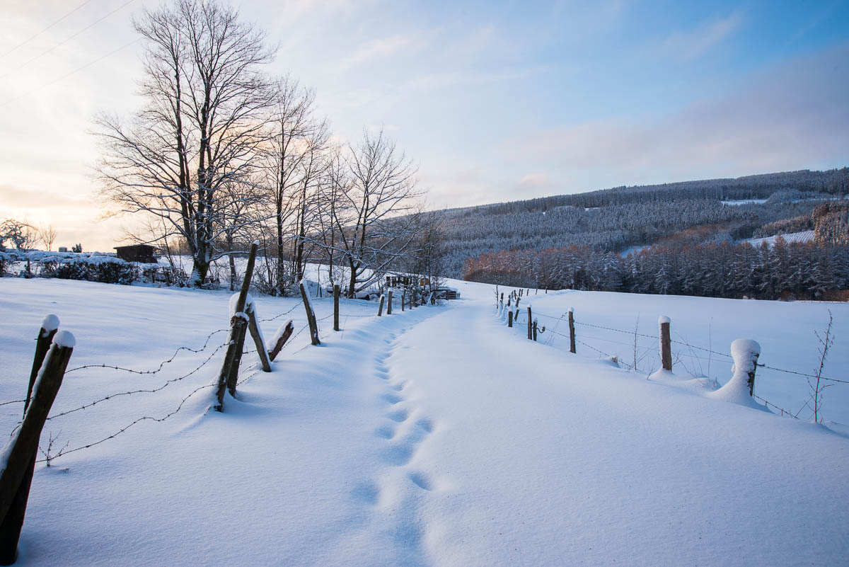 Winter Reiseziele 2020: Ardennen in Belgien